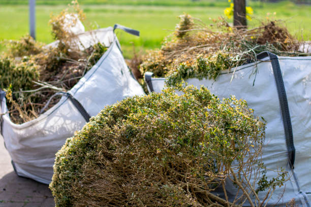 Best Junk Hauling Services  in Belvidere, NJ