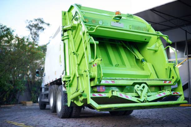 Yard Cleanup Services in Belvidere, NJ